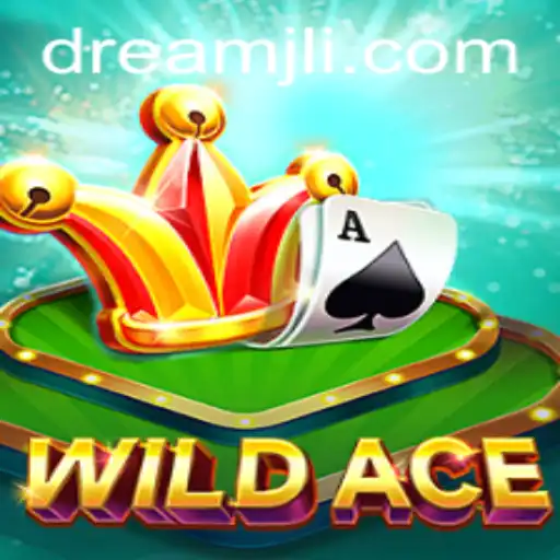 WildAce: The Game That Redefines Adventure with Dream JL